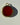 Carnelian Duality Charm